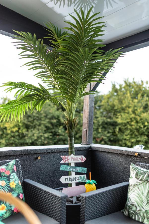 Dynasty Home Spa Appartement 100M2 Jacuzzi Terrasse Holtzheim Exteriör bild